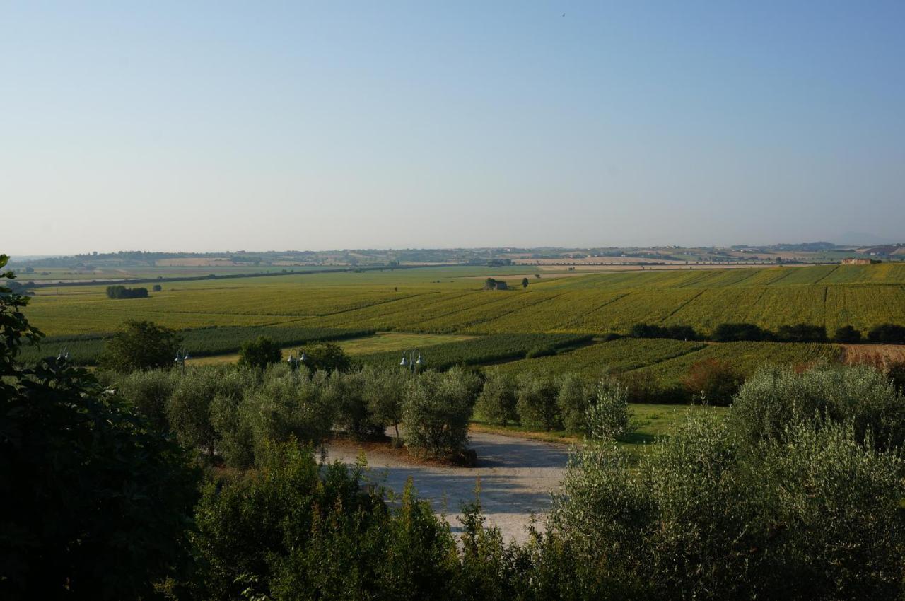 Agriturismo S.Angelo Villa Foiano Della Chiana Kültér fotó