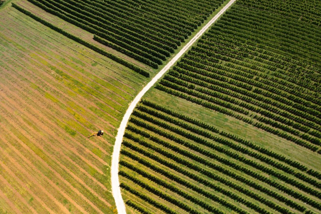 Agriturismo S.Angelo Villa Foiano Della Chiana Kültér fotó