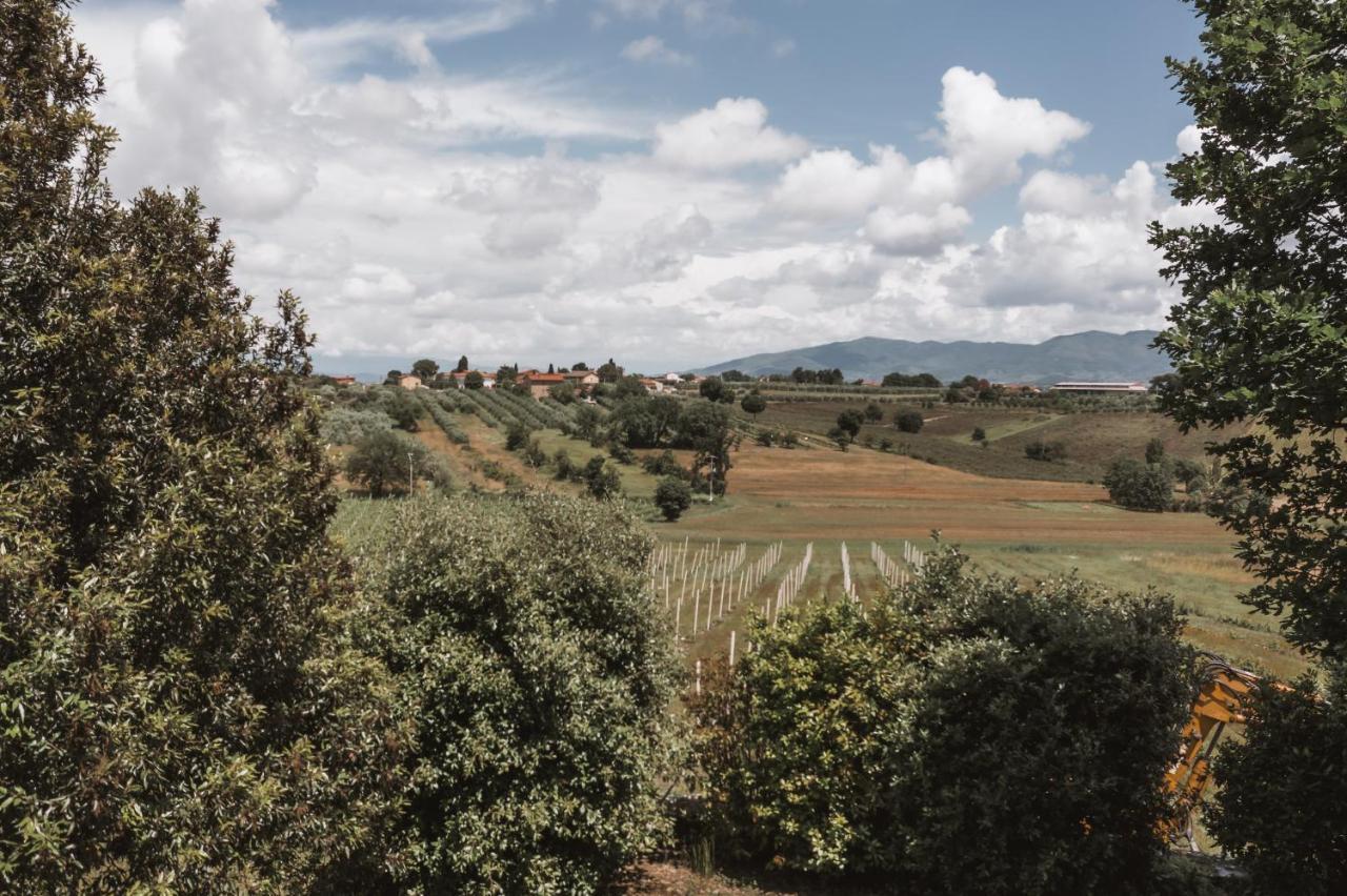 Agriturismo S.Angelo Villa Foiano Della Chiana Kültér fotó