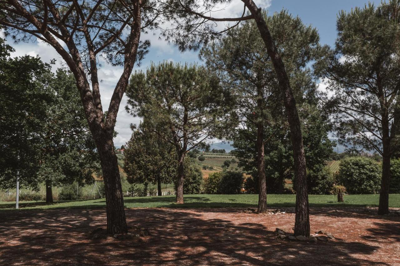 Agriturismo S.Angelo Villa Foiano Della Chiana Kültér fotó